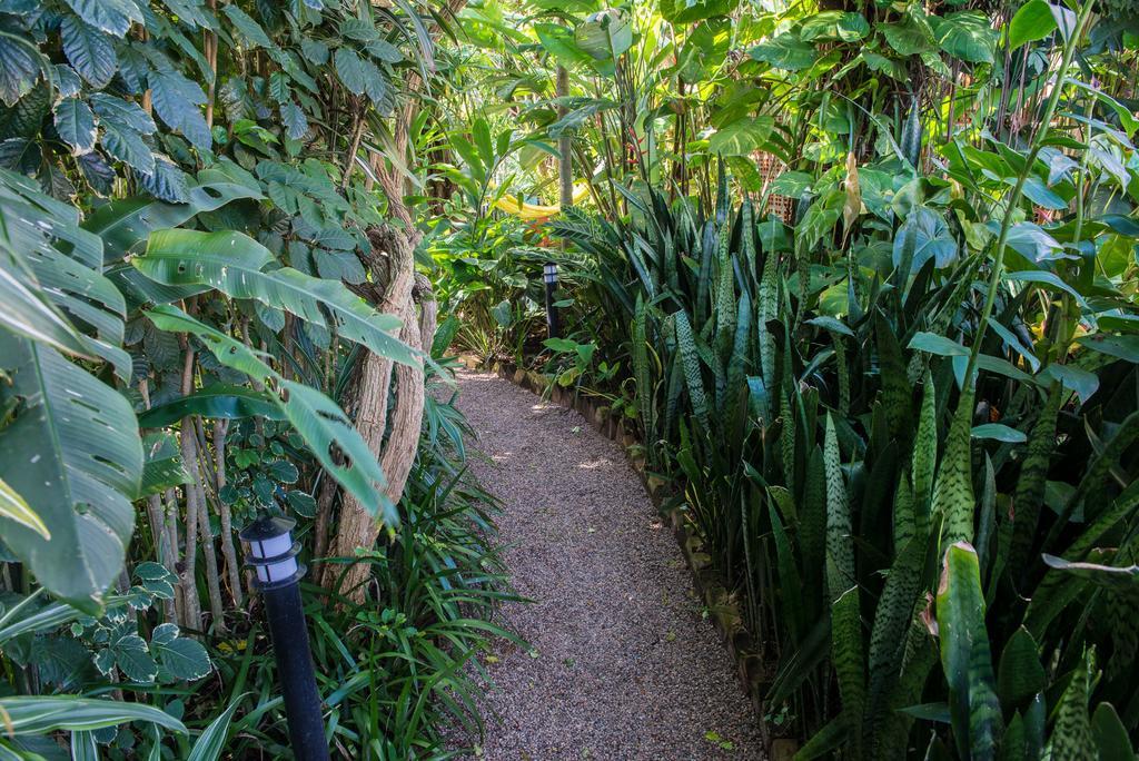 Pousada Verde Natur Florianópolis المظهر الخارجي الصورة